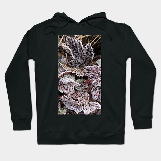 The Beauty and Stillness of Frosty Fall Leaves Hoodie by Photomersion